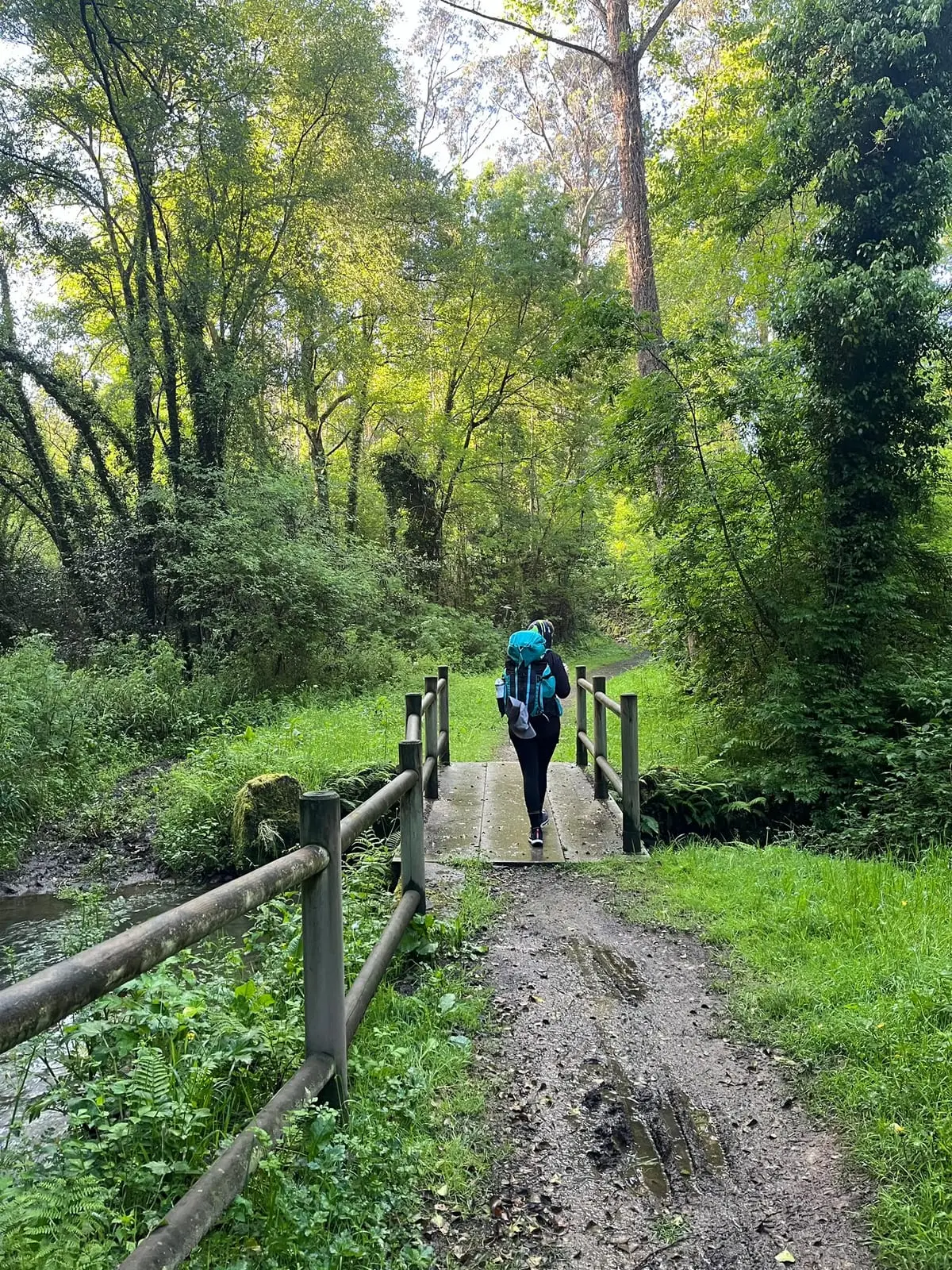 Una pasarela de madera sobre un regato, en uno de los tramos de bosque de la ruta.
