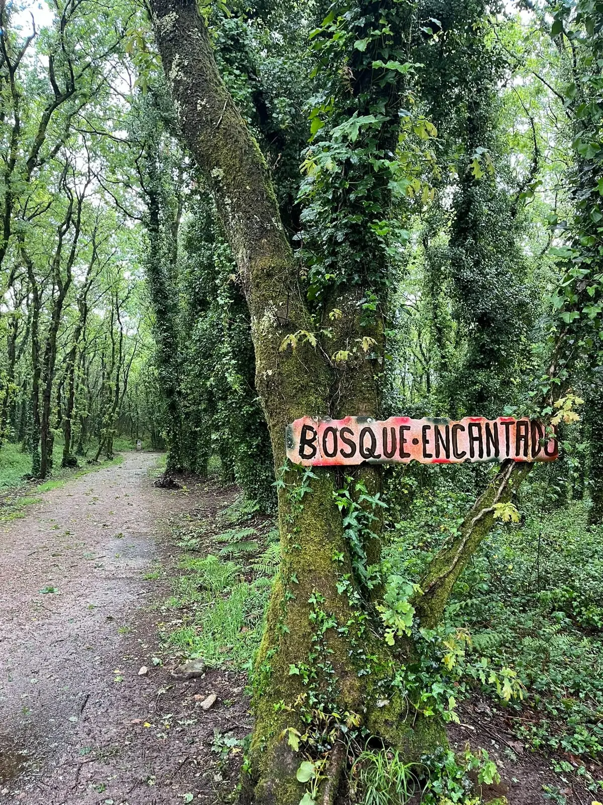 El cartel del "bosque encantado", el robledal a la salida de Sigüeiro.